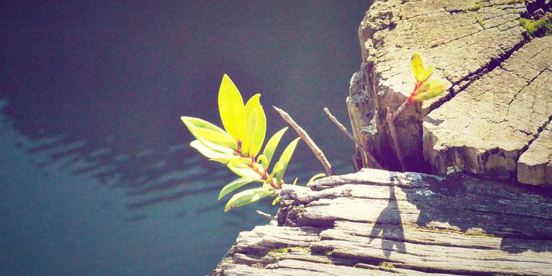 当北欧风住宅遇见自动驾驶：河南车路协同示范区如何重塑社区动线与车库设计